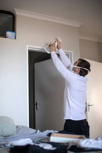 Asbestos and Lead Testing During Mold Inspection in Diamond, IL