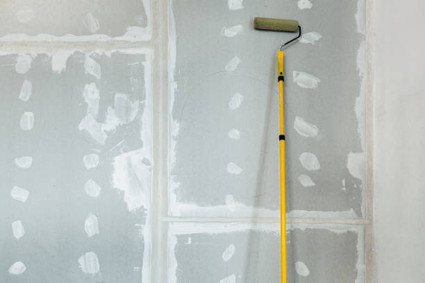 Best Mold Documentation for Insurance Claims  in Diamond, IL