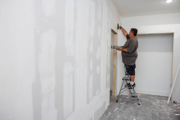 Best Mold Remediation for Healthcare Facilities  in Diamond, IL