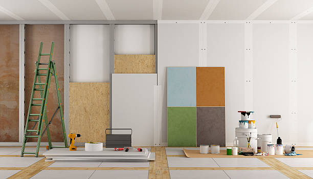 Professional Mold Removal in Diamond, IL