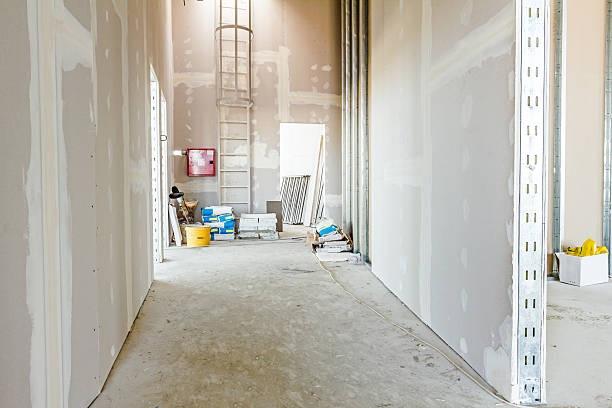 Best Dehumidification Services  in Diamond, IL