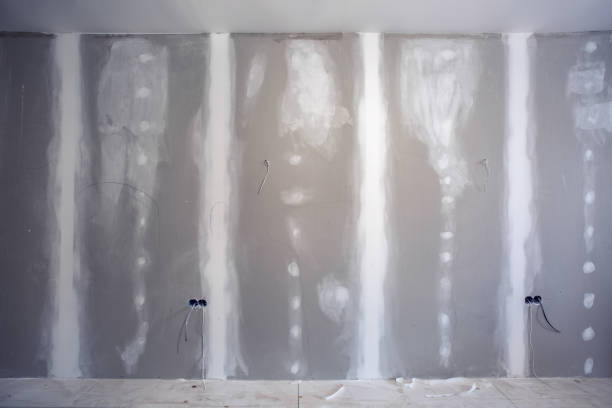 Best Basement Mold Removal  in Diamond, IL